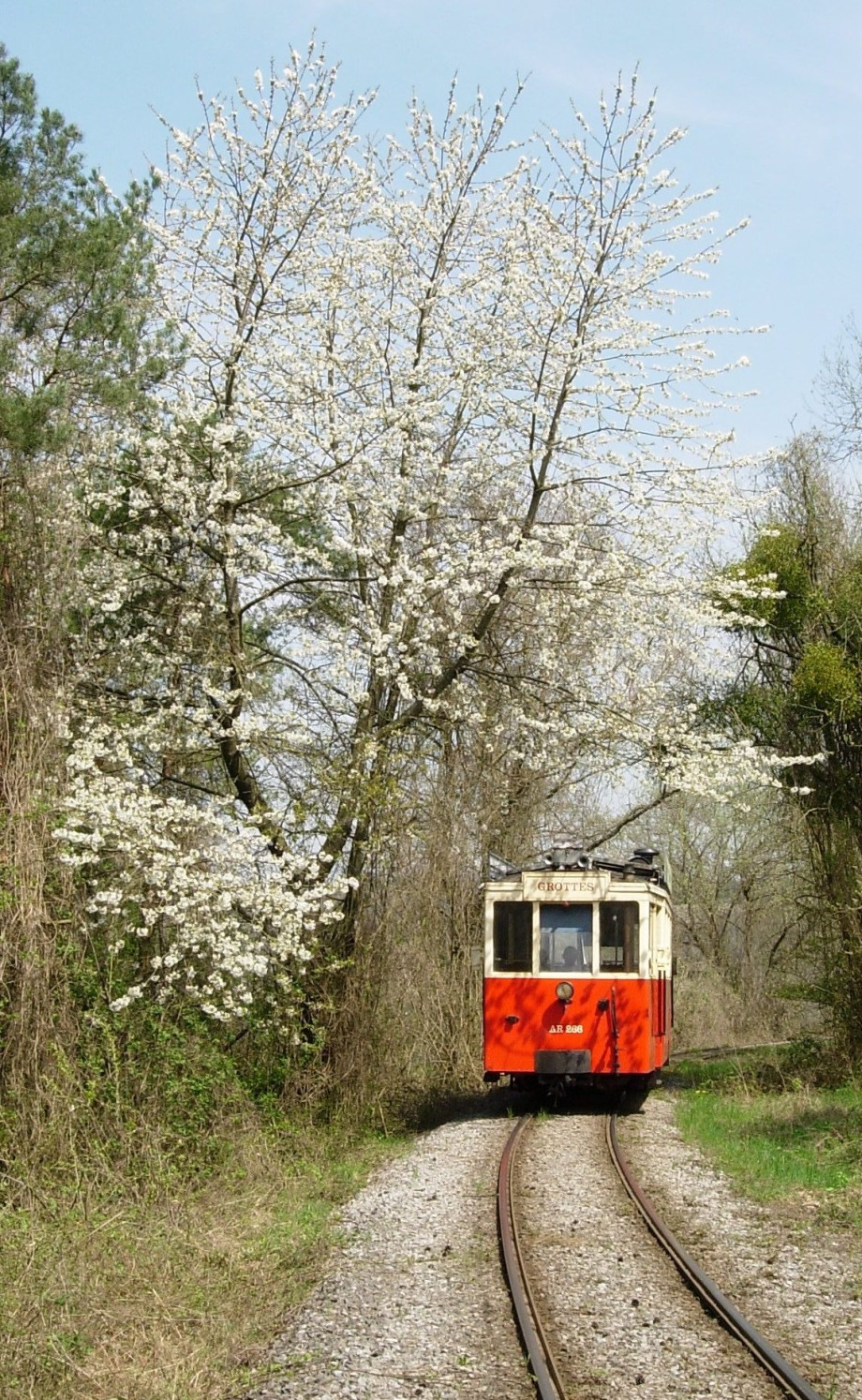 Copie_de_printemps_&agrave;_Han,_22_avril_2008_(23).jpeg